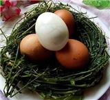 金銀花散養(yǎng)雞蛋