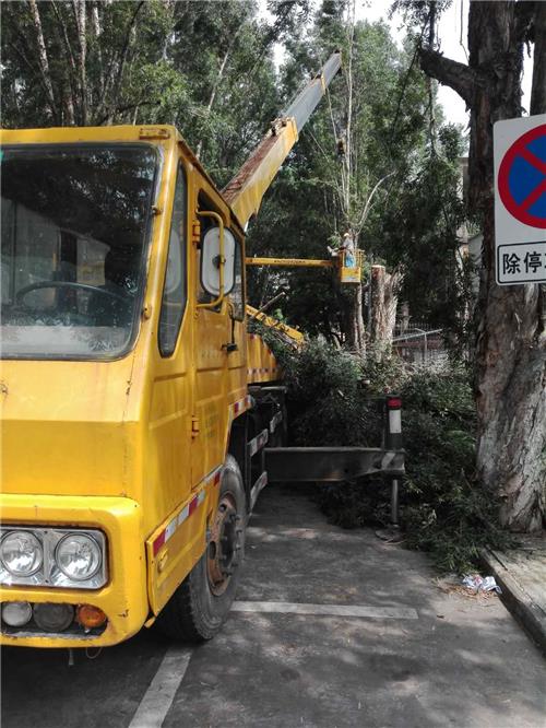 吊车道路绿化树枝修剪