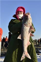 濮陽(yáng)查干湖魚批發(fā)