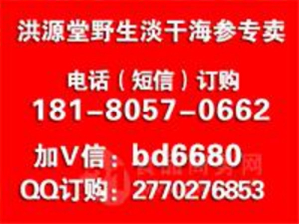 东营市东营区辽南王海参多少钱一斤