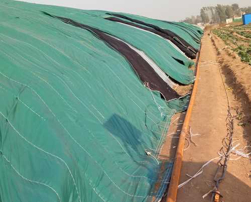 新型大棚棉被 温室大棚哪家好 新乡市日升农业大棚有限公司