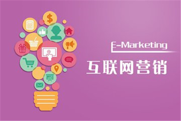 陕西专业的网络公司