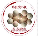 實力商家科力普雞蛋噴碼機直銷