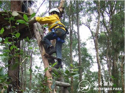 历奇探险-树上探险乐园-Tree Top Adventure