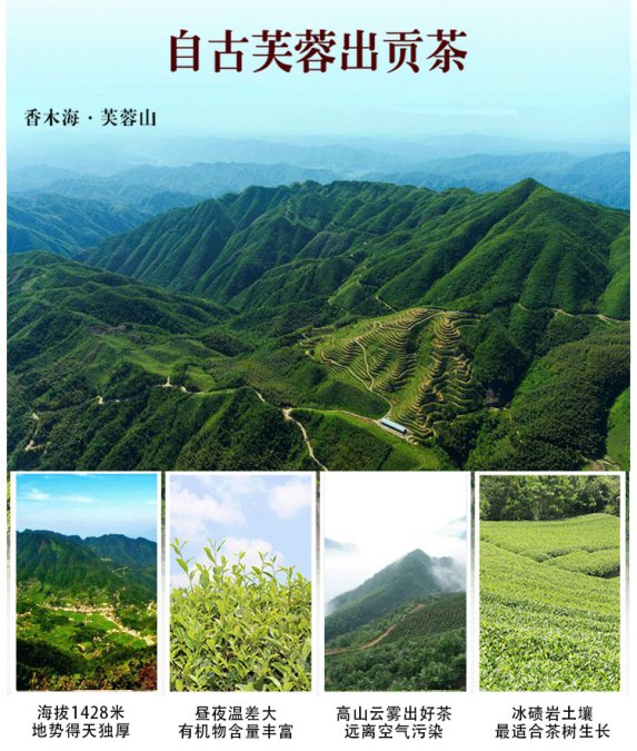 黑茶定制