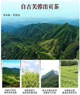 湖南安化黑茶批發