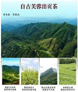 白沙溪百兩茶