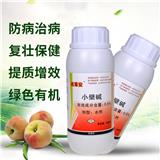 火龍果潰瘍病妙招-濰坊奧豐靚果安