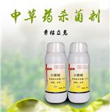 草莓芽枯病怎么治-有機(jī)農(nóng)藥青枯立克