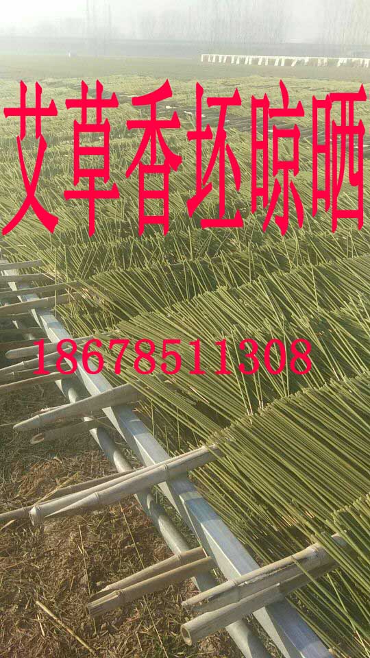 供應(yīng)山東聊城易家凈牌純度高艾草蚊蠅香王廠家