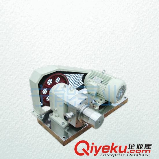 上海寧能衛(wèi)生級(jí)安全閥式不銹鋼轉(zhuǎn)子泵