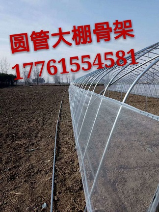 農(nóng)業(yè)圓管大棚骨架廠家供貨原始圖片2