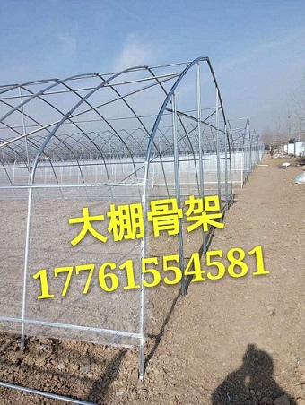 農(nóng)業(yè)圓管大棚骨架廠家供貨原始圖片3