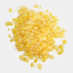 產(chǎn)朊假絲酵母    