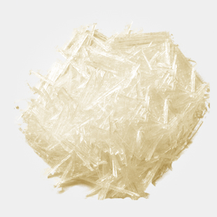 產(chǎn)朊假絲酵母    