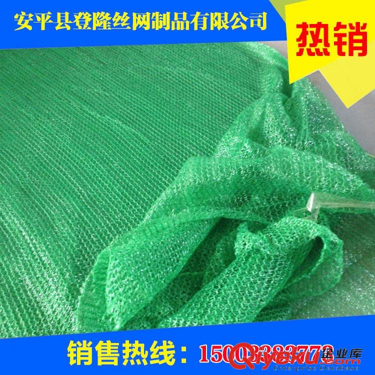 綠色蓋土網(wǎng)/綠色蓋土網(wǎng)廠家/綠色蓋土網(wǎng)規(guī)格-登隆網(wǎng)業(yè)