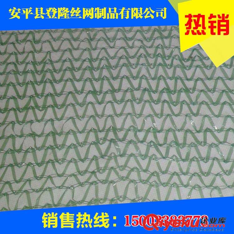 綠色蓋土網(wǎng)價格/綠色蓋土網(wǎng)用途/綠色蓋土網(wǎng)施工-登隆網(wǎng)業(yè)