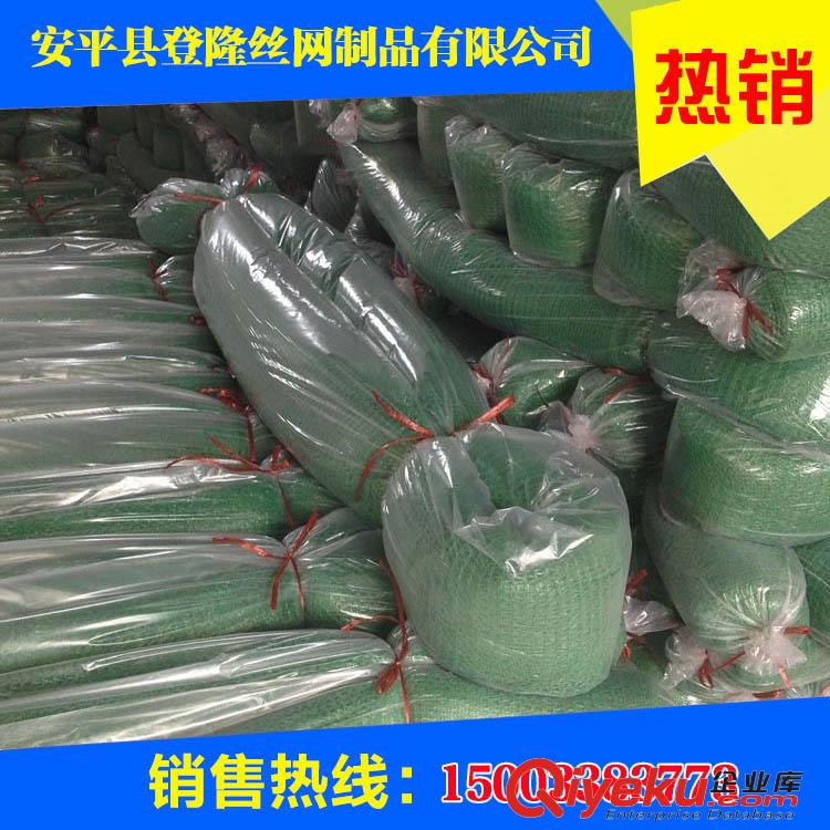 兩針蓋土網/兩針蓋土網廠家/兩針蓋土網規格-登隆網業
