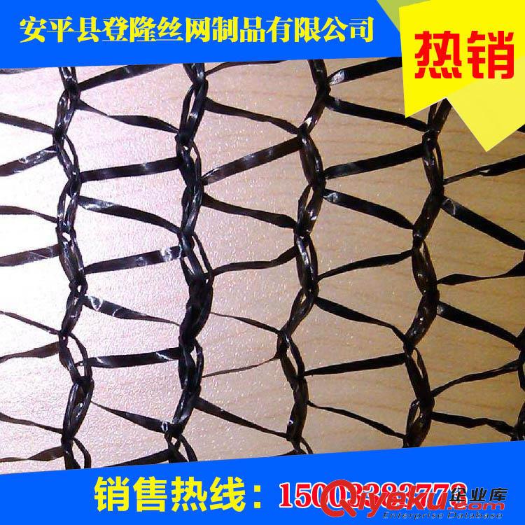 兩針蓋土網(wǎng)價格/兩針蓋土網(wǎng)用途/兩針蓋土網(wǎng)施工-登隆網(wǎng)業(yè)