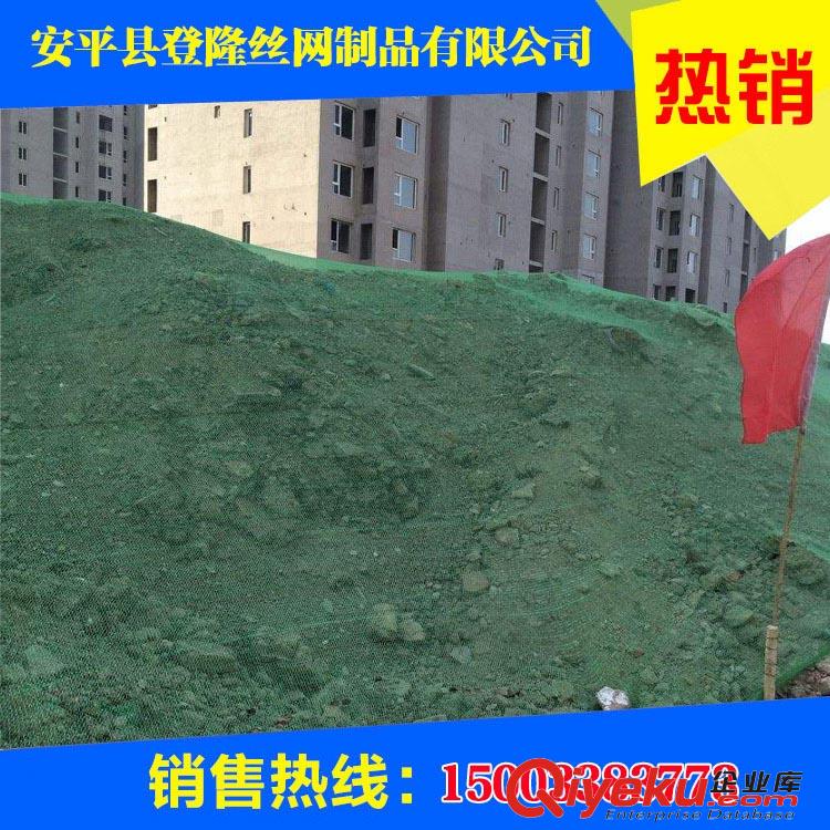 兩針蓋土網價格/兩針蓋土網用途/兩針蓋土網施工-登隆網業