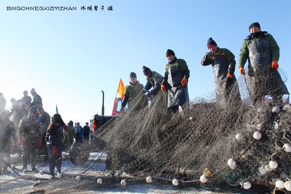 焦作查干湖魚批發(fā)