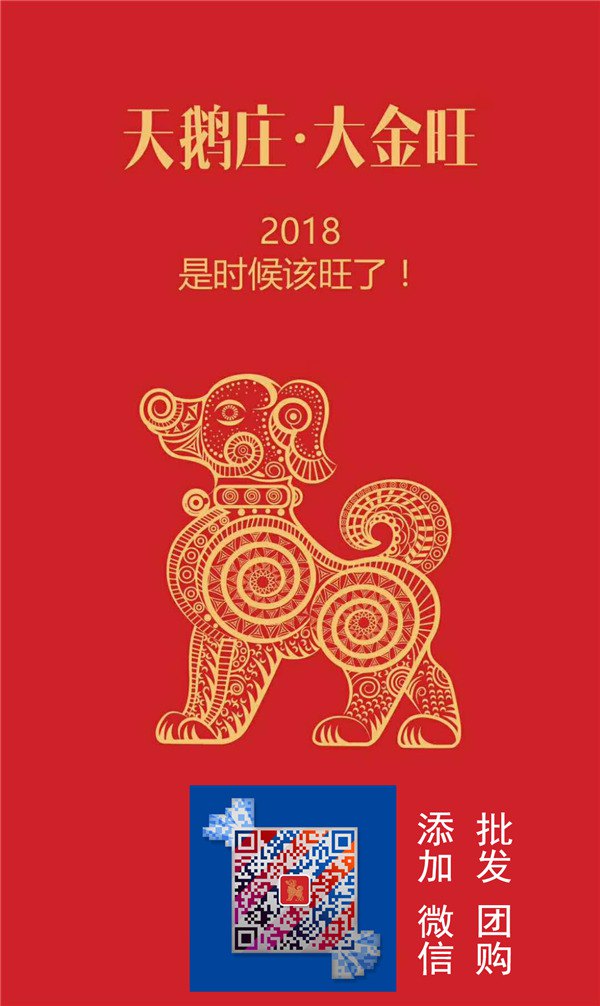 青島天鵝莊大金旺代理批發