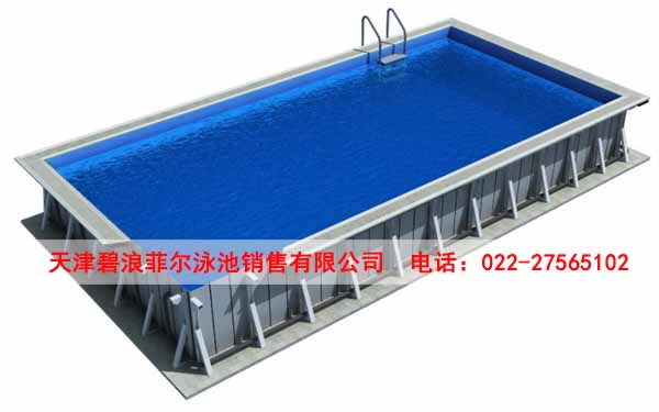 天津無邊際泳池設備批發價格-碧浪菲爾