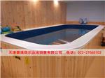 天津别墅游泳池品牌-碧浪菲尔
