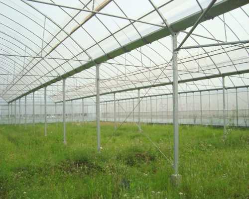 綠色蔬菜大棚多少錢/溫室蔬菜大棚哪家好/新鄉市日升農業大棚有