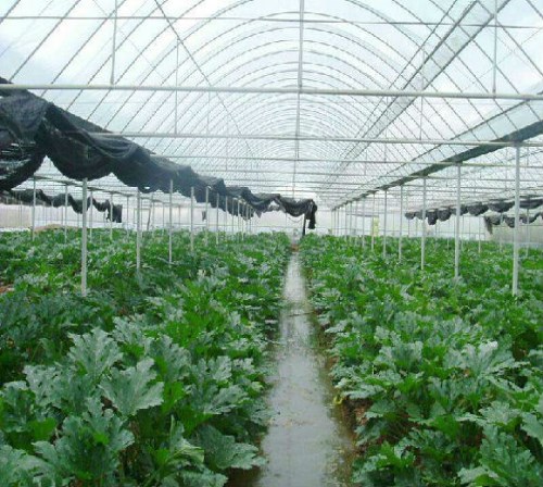 溫室大棚骨架購買 保溫被供應商 新鄉市日升農業大棚有限公司
