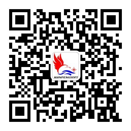 山東ERP定制-山東進(jìn)銷存定制-濟(jì)南鯤鵬軟件有限公司