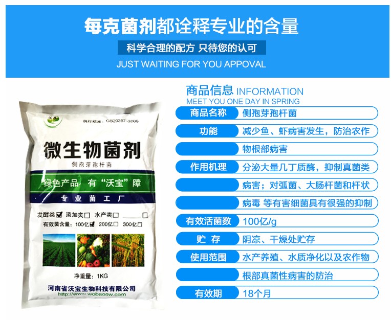沃寶生物側孢短芽孢桿菌