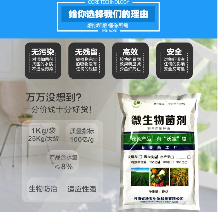 沃寶生物側孢短芽孢桿菌