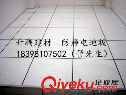 遂寧PVC塑膠地板全鋼架空防靜電地板幼兒園籃球場拼裝地板原始圖片2