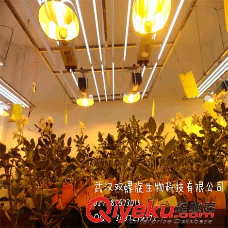 武漢培養(yǎng)架型植物生長室設(shè)計(jì)，方案，規(guī)劃