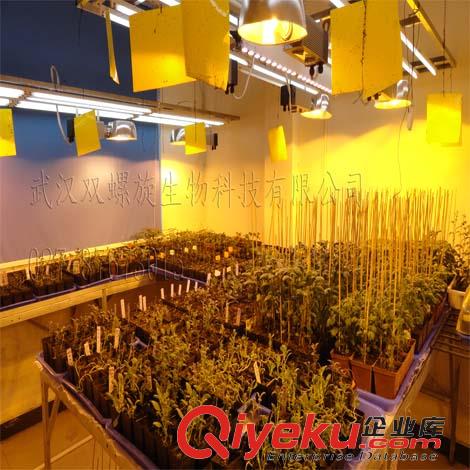 培養(yǎng)架型植物生長(zhǎng)室規(guī)劃，方案，建設(shè)原始圖片3