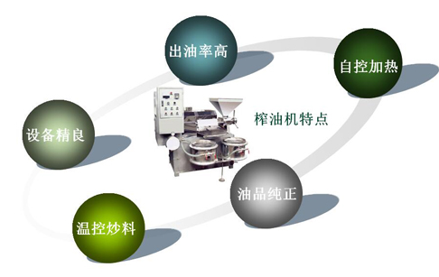 供應河南東盈120型多功能榨油機