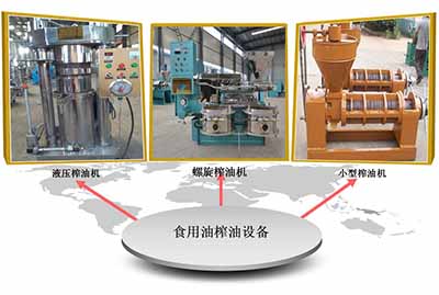 直銷河南東盈機(jī)械125型大型榨油機(jī) 出油率高