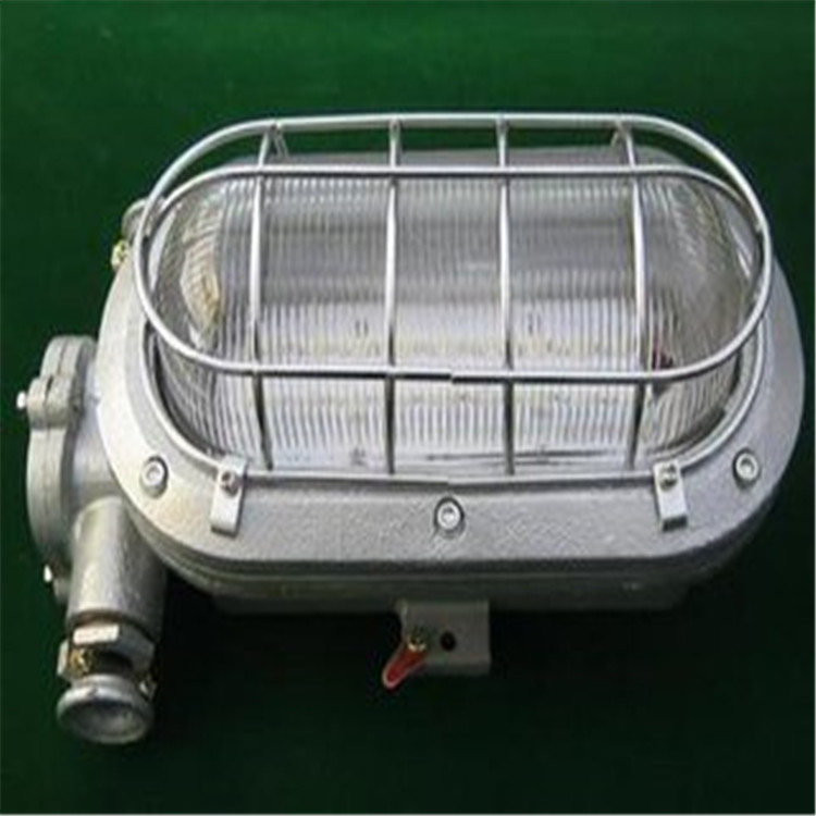 廠家直銷 DGC35/127N隔爆型支架燈 低價原始圖片2