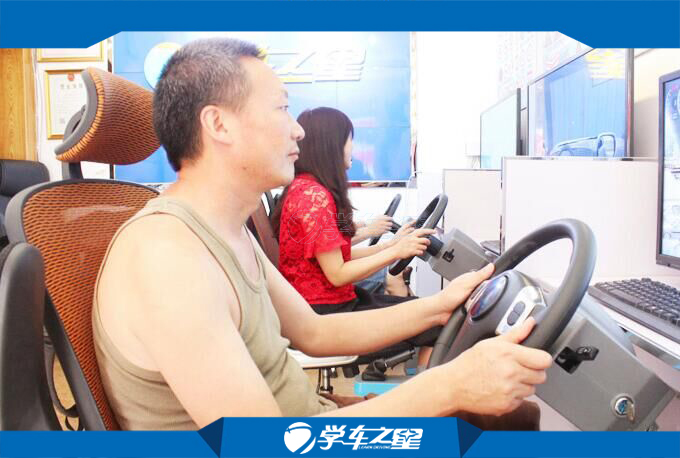 汽車(chē)智能模擬訓(xùn)練器代理市場(chǎng)情況分析原始圖片2