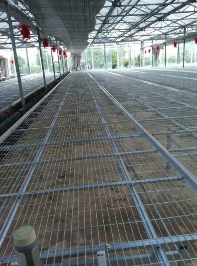 供應(yīng)晨超品牌移動苗床