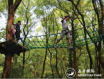 歷奇探險-樹上探險樂園-Tree Top Adventure