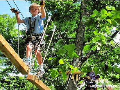 歷奇探險-樹上探險樂園-Tree Top Adventure