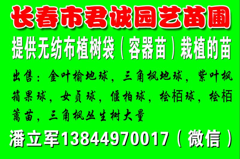 【德隆文化】长春三级分销系统l长春三级分销系统开发