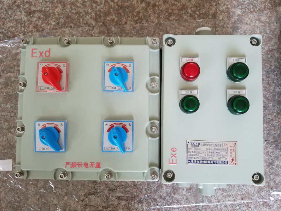 8回路防爆配电箱|IICT6防爆配电箱|