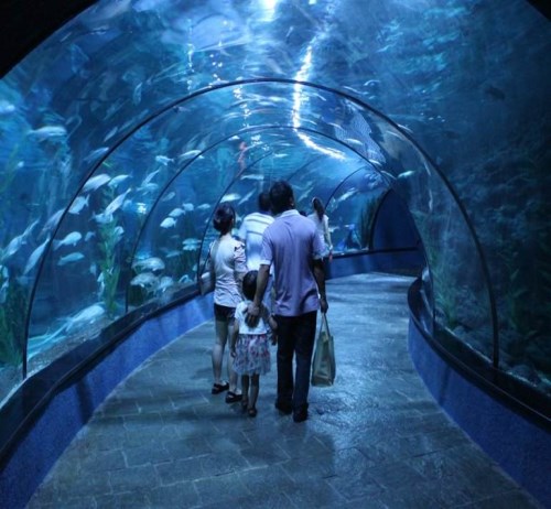 小型水族館建造 北京大型水族箱訂做 北京艾墨菲水族科技有限公