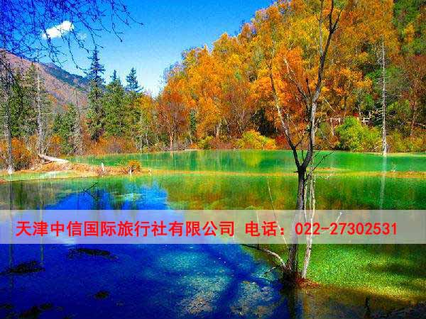湖北個人旅游簽證代辦多少錢-天津中信國際旅行社