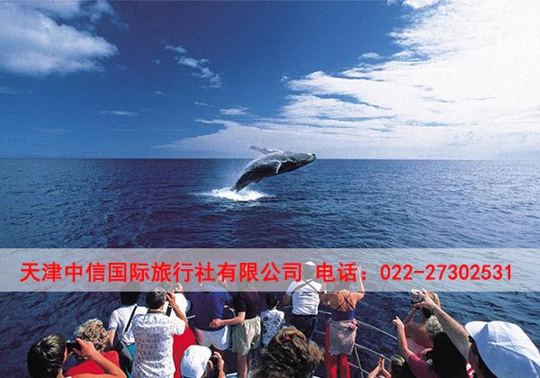 山東澳洲旅游簽證代辦多少錢-天津中信國際旅行社