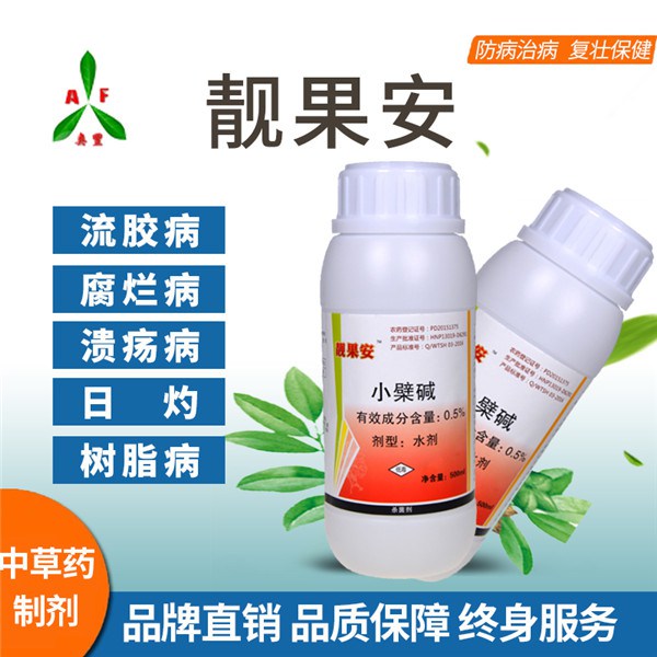 芒果病防治技術-有機農(nóng)藥潰腐靈
