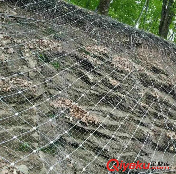 邊坡防護(hù)網(wǎng) 主動(dòng)防護(hù)網(wǎng) 山體防護(hù)網(wǎng)廠家生產(chǎn)